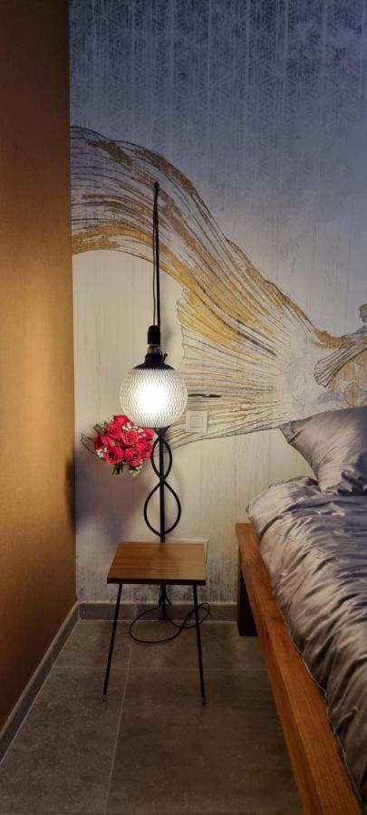 Logies La Chevre Folle - Lodging & Cooking In Style With Shared Kitchen 奥斯滕德 外观 照片